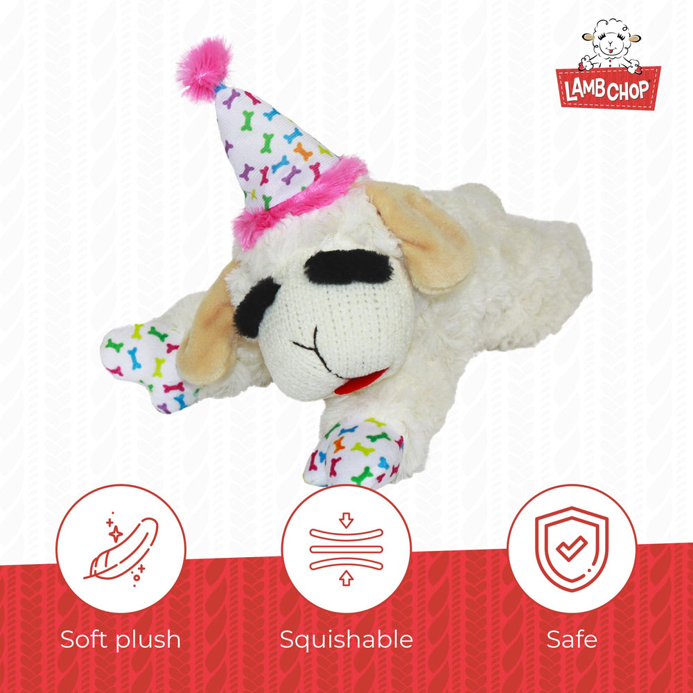 Multipet Lamb Chop pattes à motif os décoratif résistantes visuellement