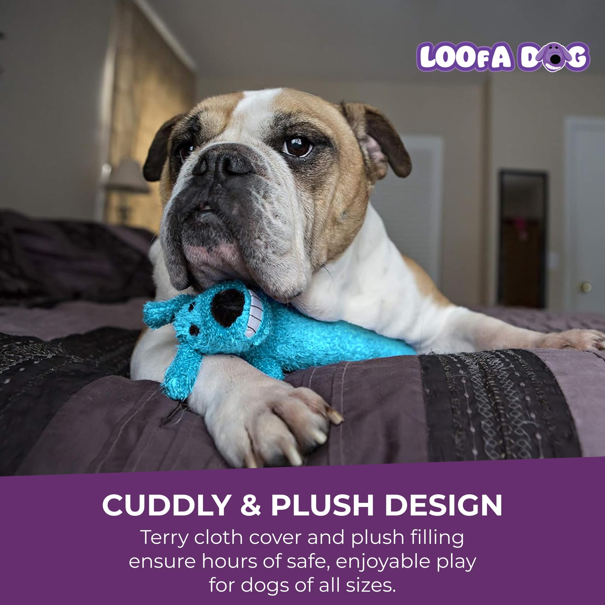 Multipet Loofa chien jouant pour stimuler exercice et amusement