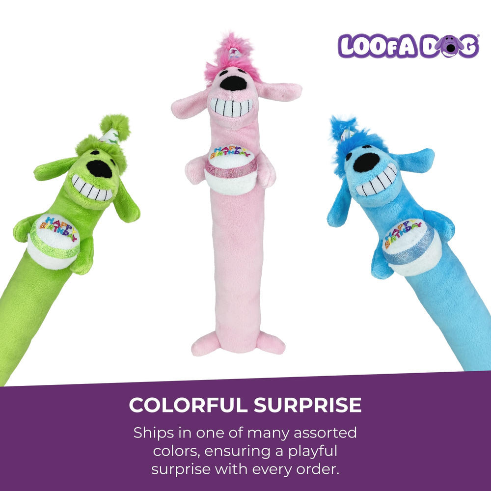 Multipet Loofa intérieur sifflet actif attirant l'attention du chien