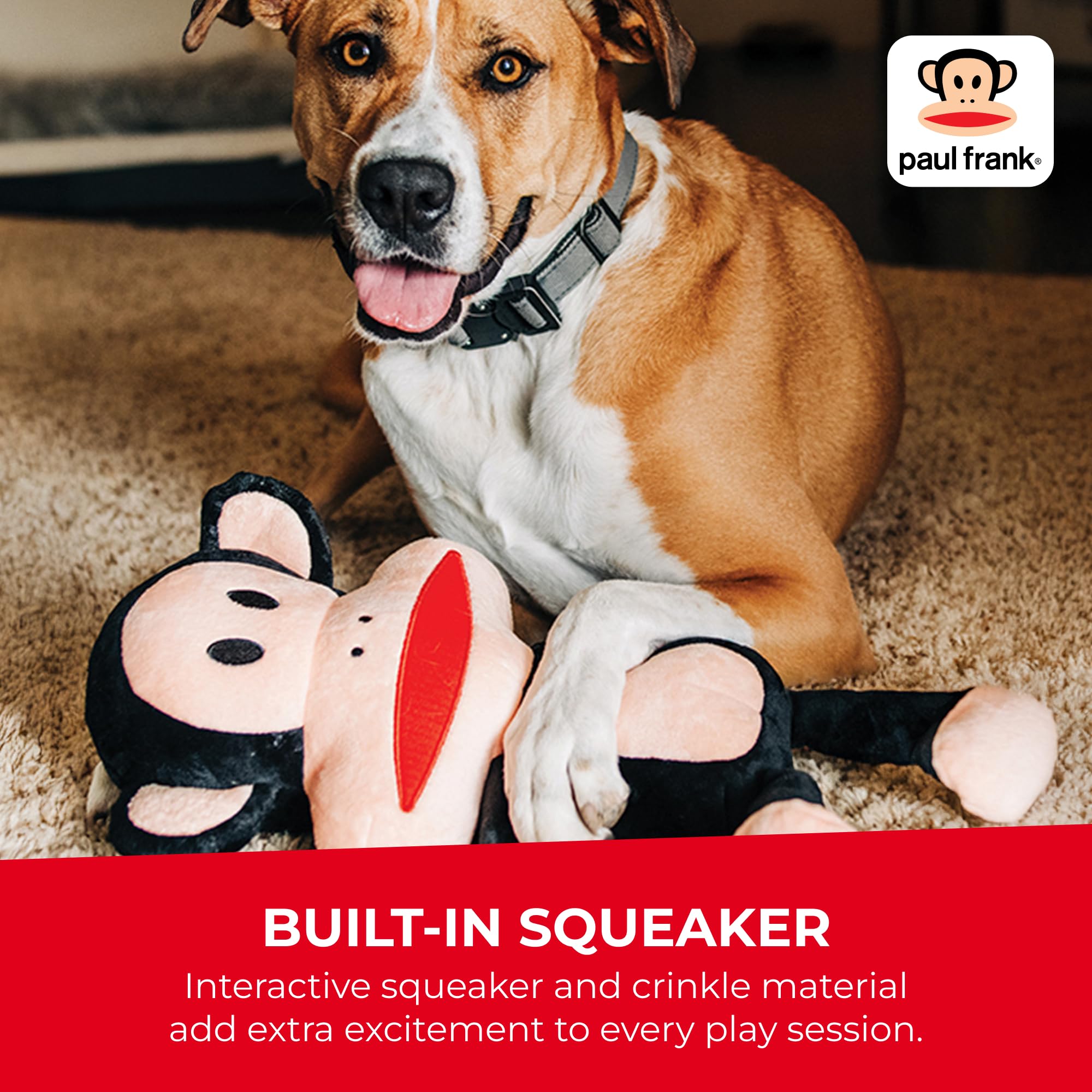 Multipet Julius vue du couineur intérieur qui stimule le jeu