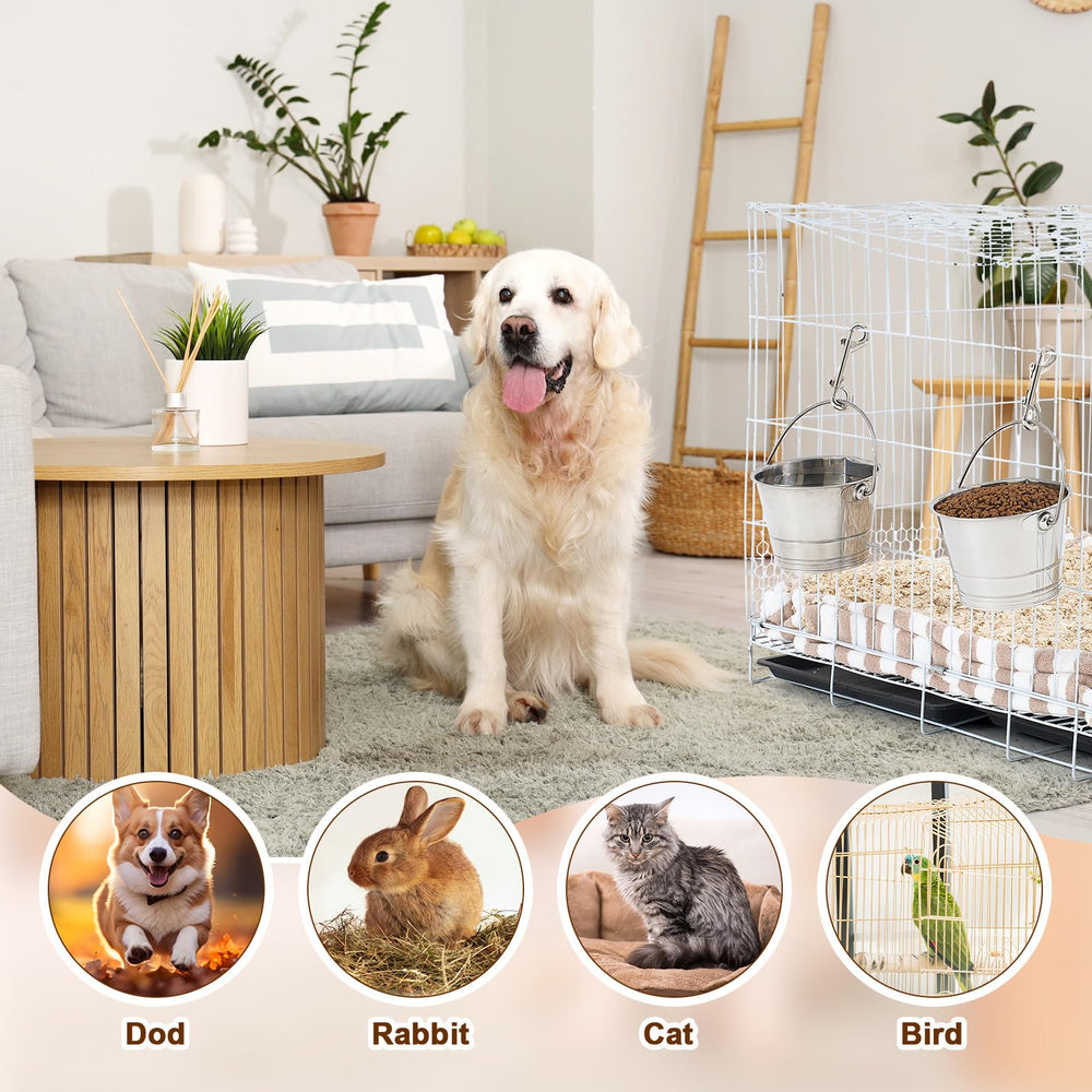 Mumufy seau en usage avec chien garantissant accès à l'eau