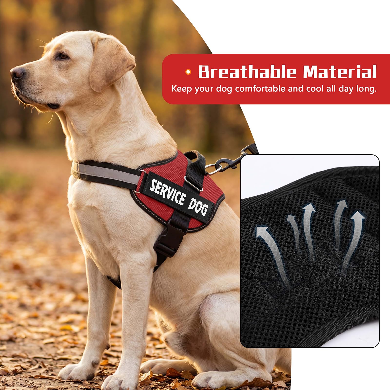 MUMUPET anneau métallique dorsal pour attache sûre de la laisse