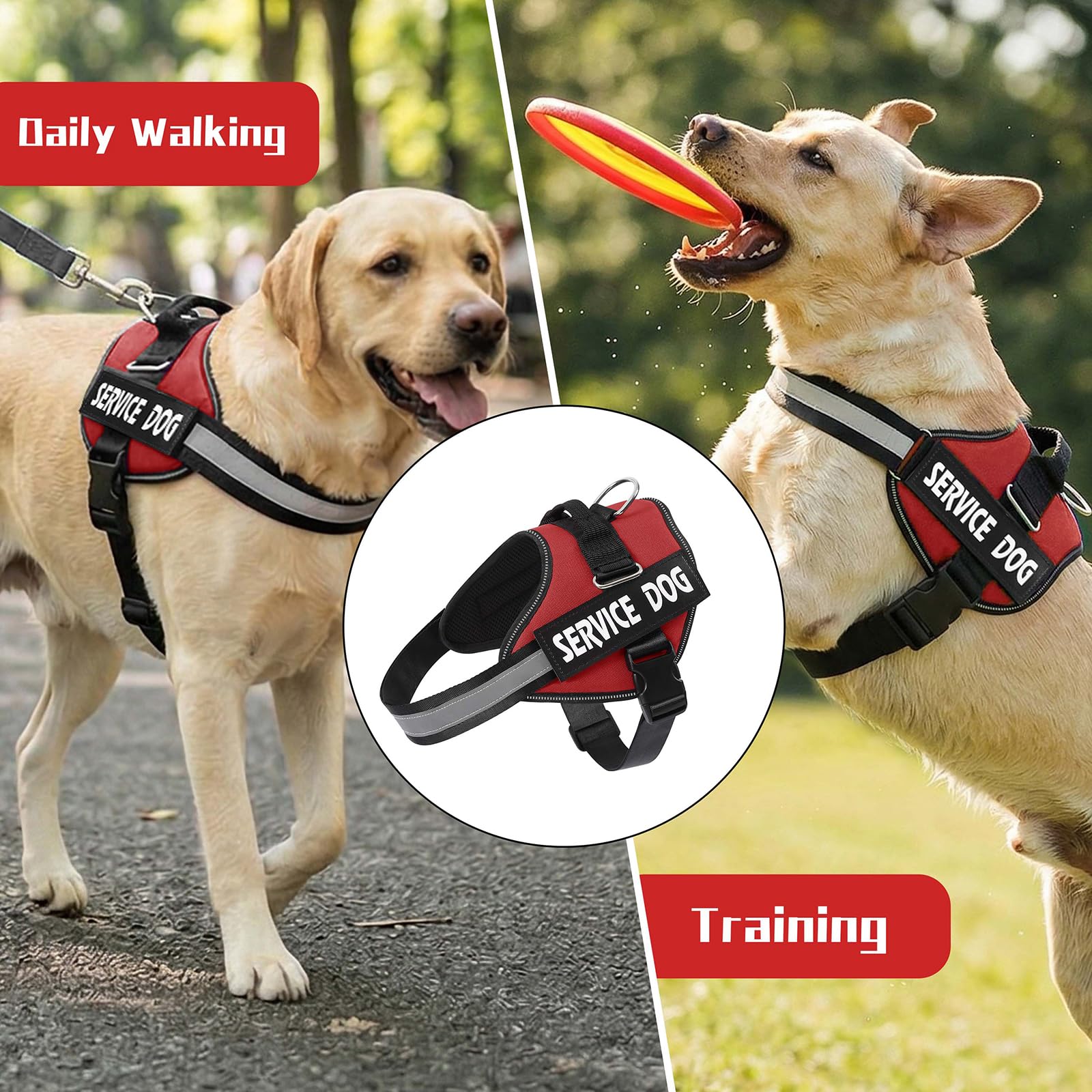 MUMUPET comparaison taille XL montrant ajustement et dimensions