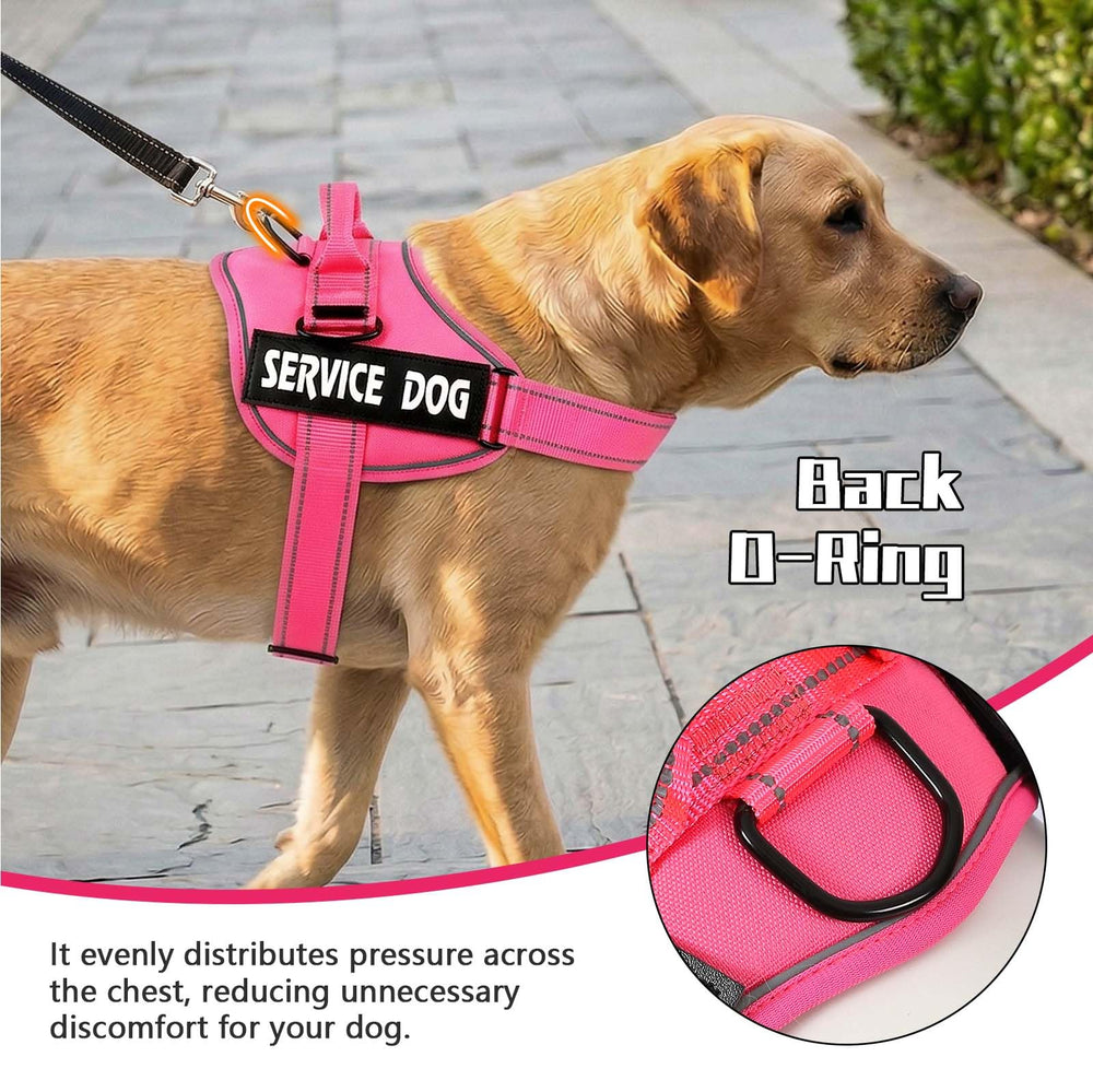 MUMUPET boucle à dégagement rapide pour mise en place rapide