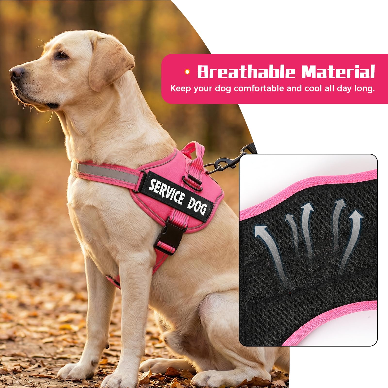 MUMUPET anneau D-ring métallique pour contrôle anti-traction sécurisé