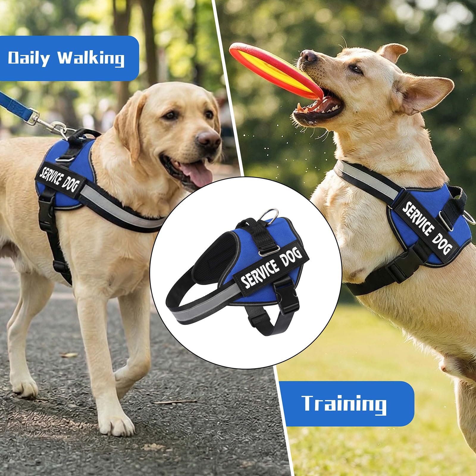 MUMUPET comparaison taille pour choisir la bonne taille S