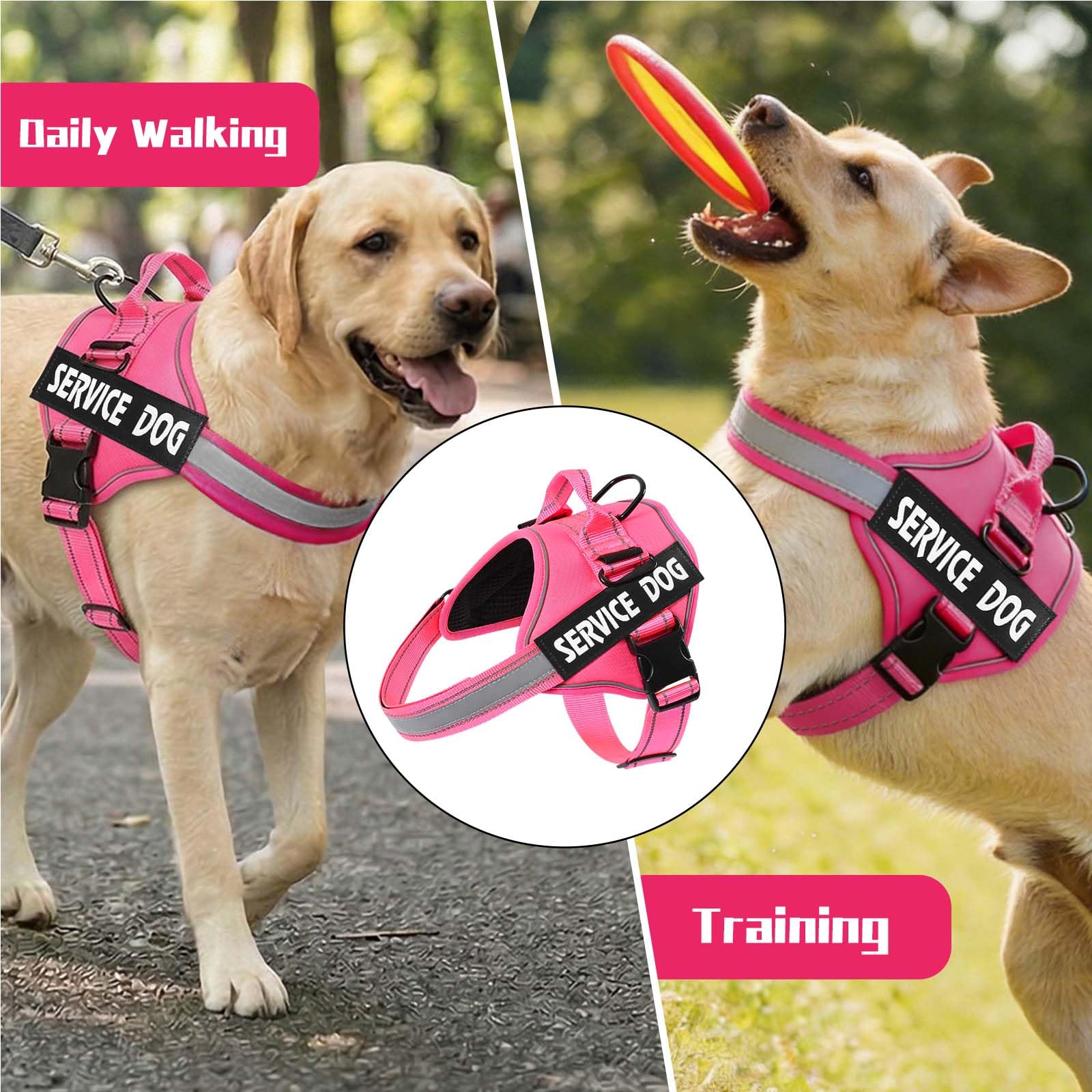 MUMUPET comparaison taille XS pour ajustement précis et sûr