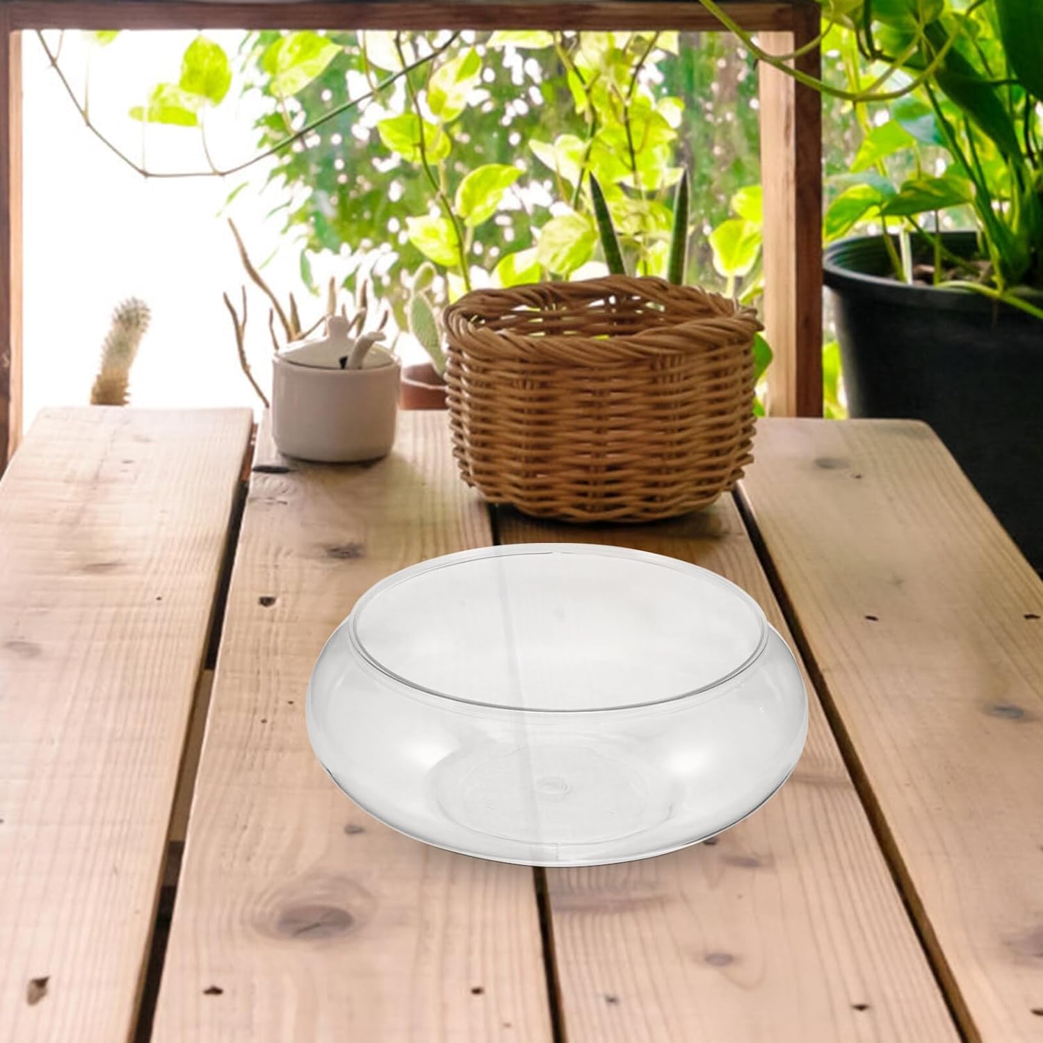Musaner bol plantes hydroponie racines visibles pour contrôle simple