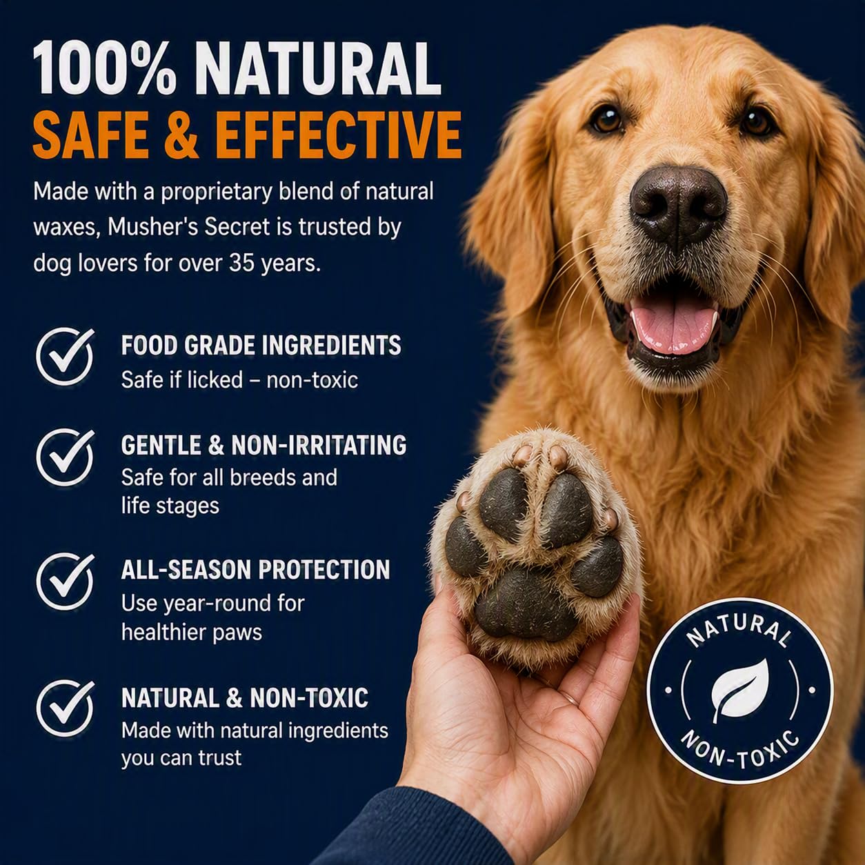 Musher's Secret chien en promenade plage montrant protection tous terrains