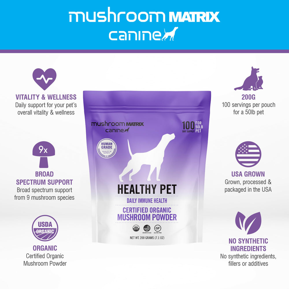 Mushroom Matrix poudre versée sur croquettes, facilite l'administration quotidienne à l'animal