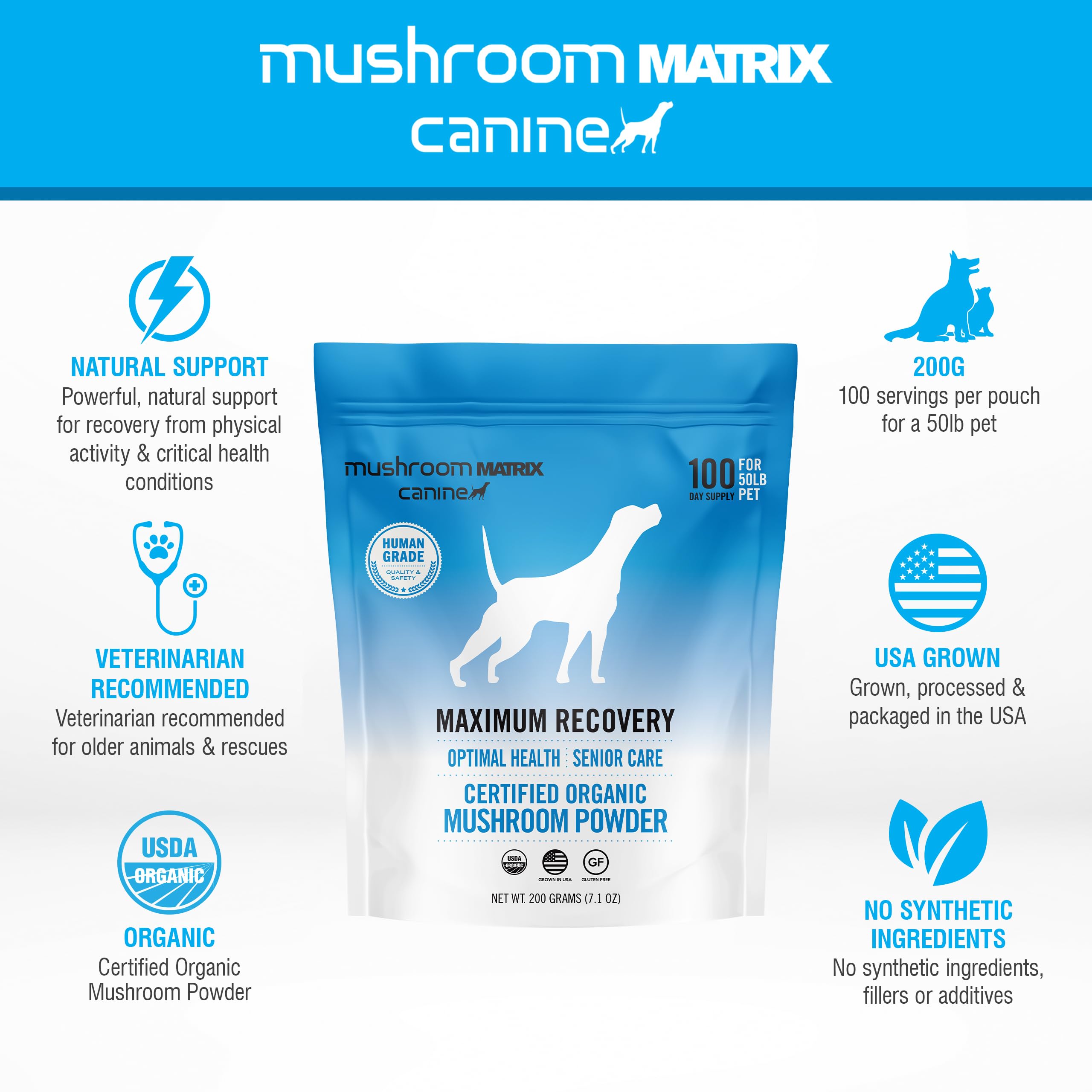 Mushroom Matrix poudre ajoutée à la nourriture d'un chien, administration simple et appétente