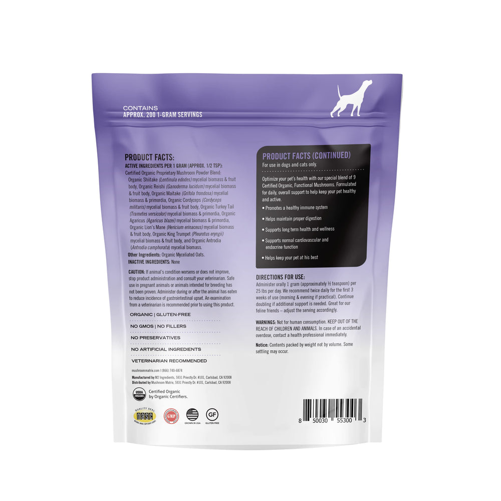 Mushroom Matrix texture de la poudre en gros plan, aspect fin pour mélange facile aux repas
