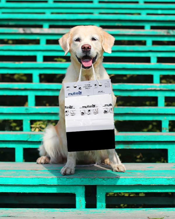 Mutt Mitt en contexte parc, solution discrète et fiable