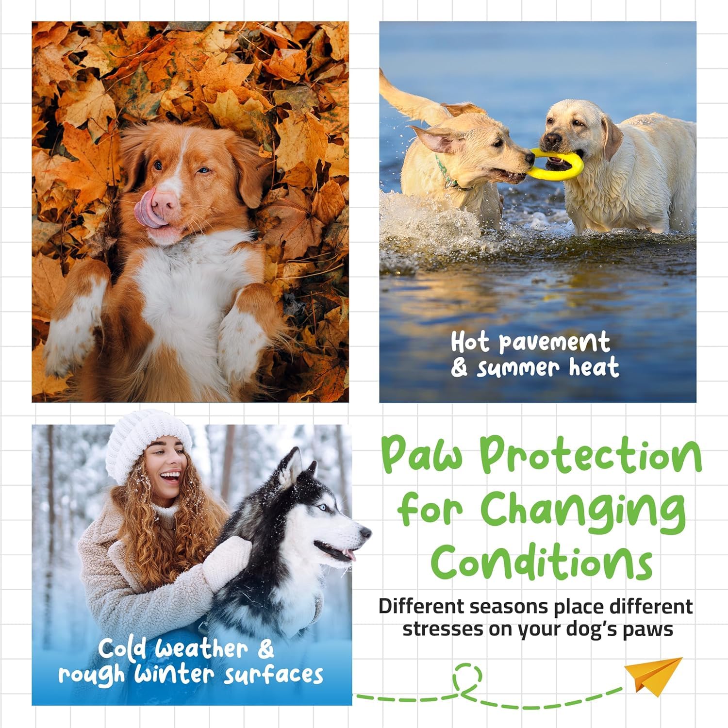 Muttly roll-on sur neige démontrant protection hivernale fiable