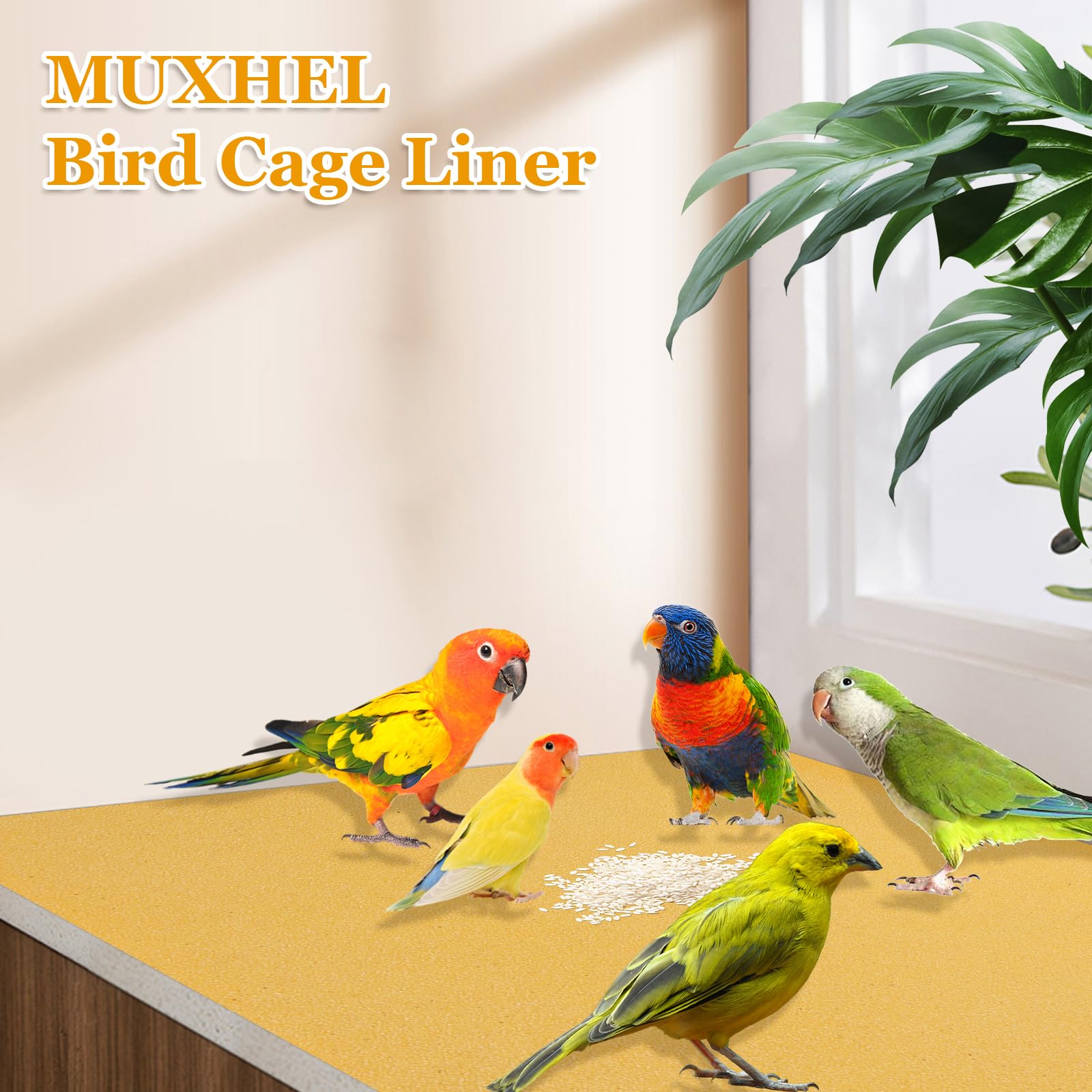 MUXHEL paquet empilé illustrant rangement et remplacement régulier