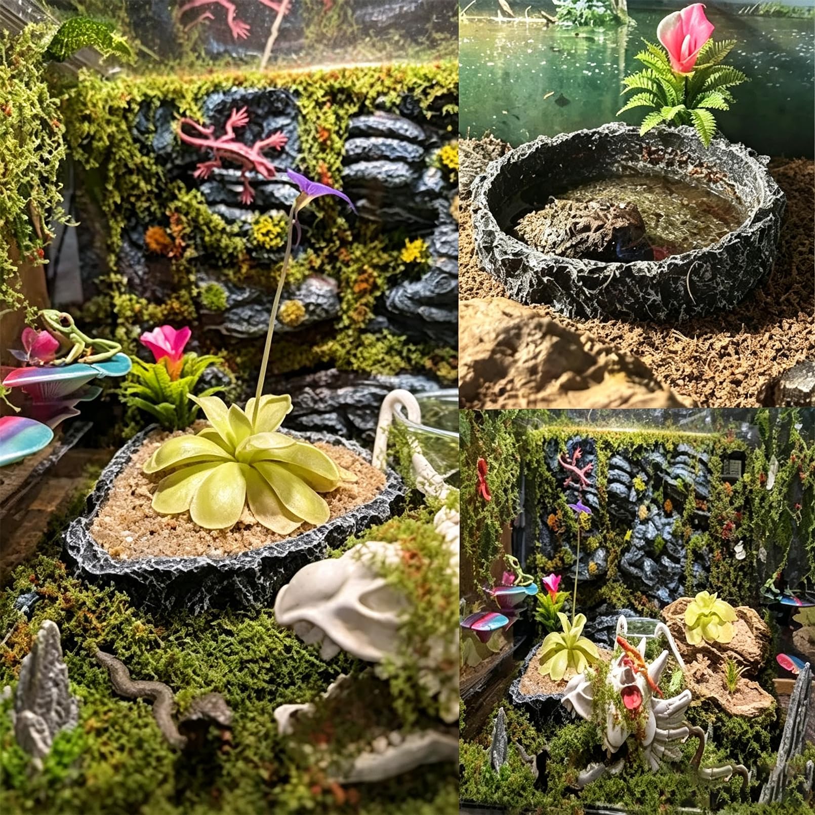 MUYG bol dans décor tropical montre polyvalence pour différents thèmes