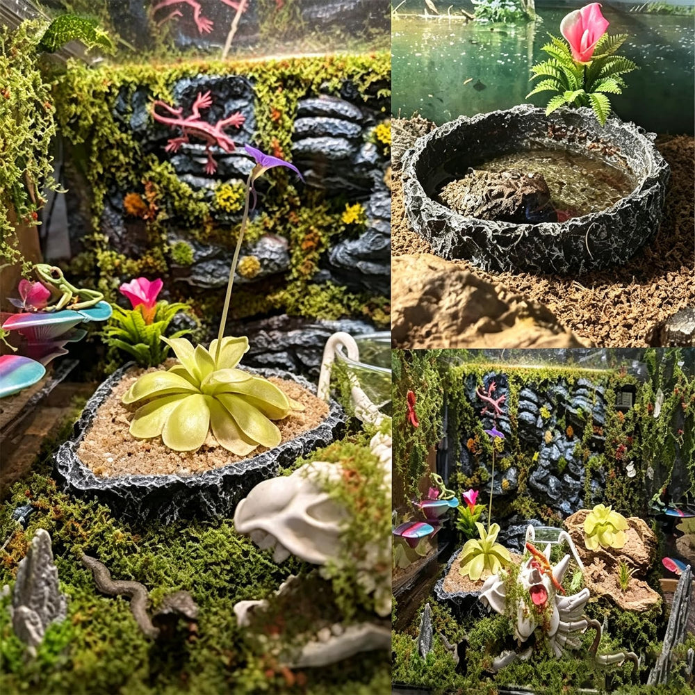 MUYG bol dans décor tropical montre polyvalence pour différents thèmes