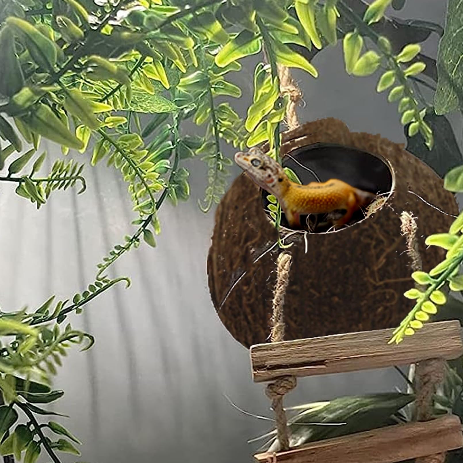 MUYG kit installé dans terrarium créant habitat vertical stimulant