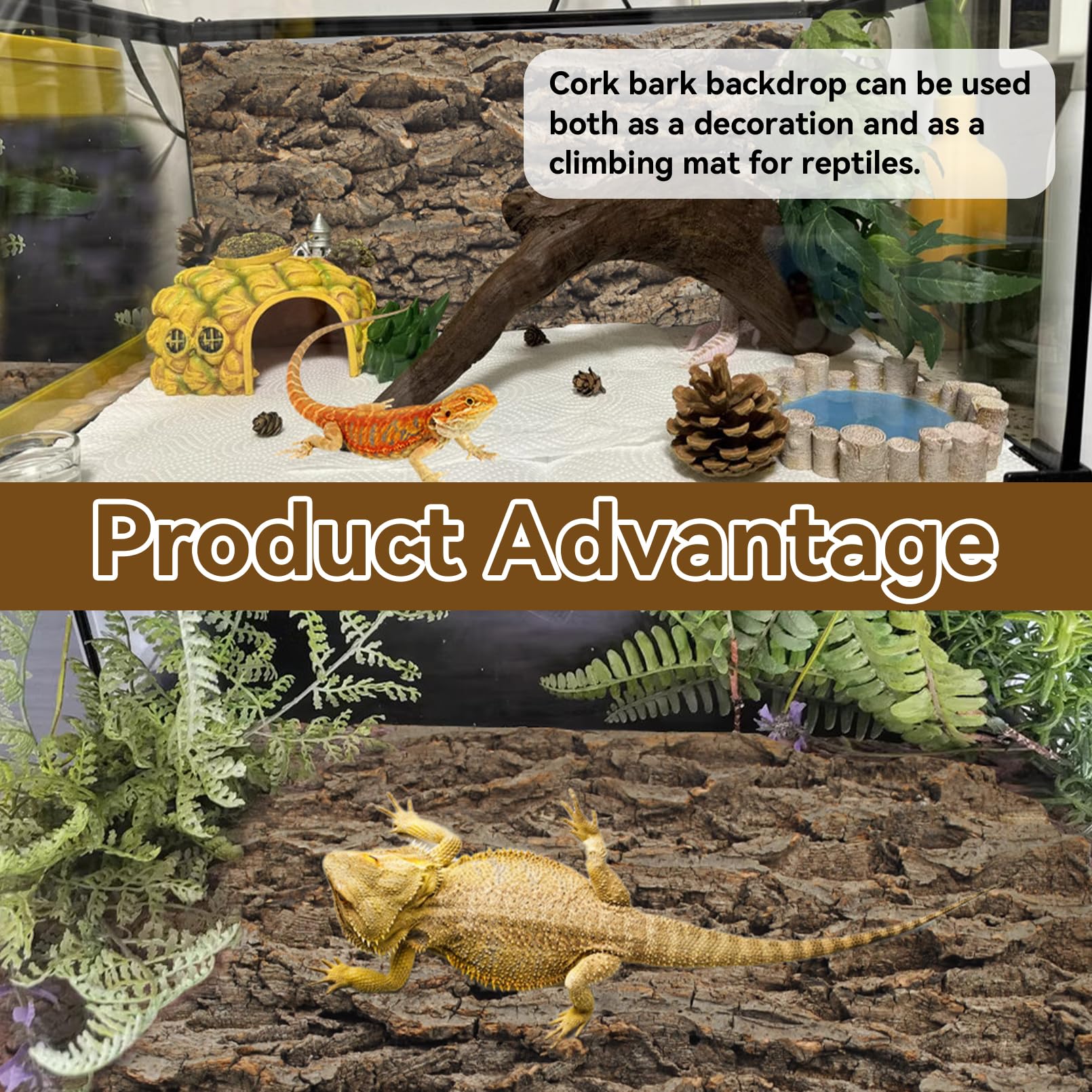 MUYG fond liège installé dans terrarium montrant escalade et cachettes pour animaux