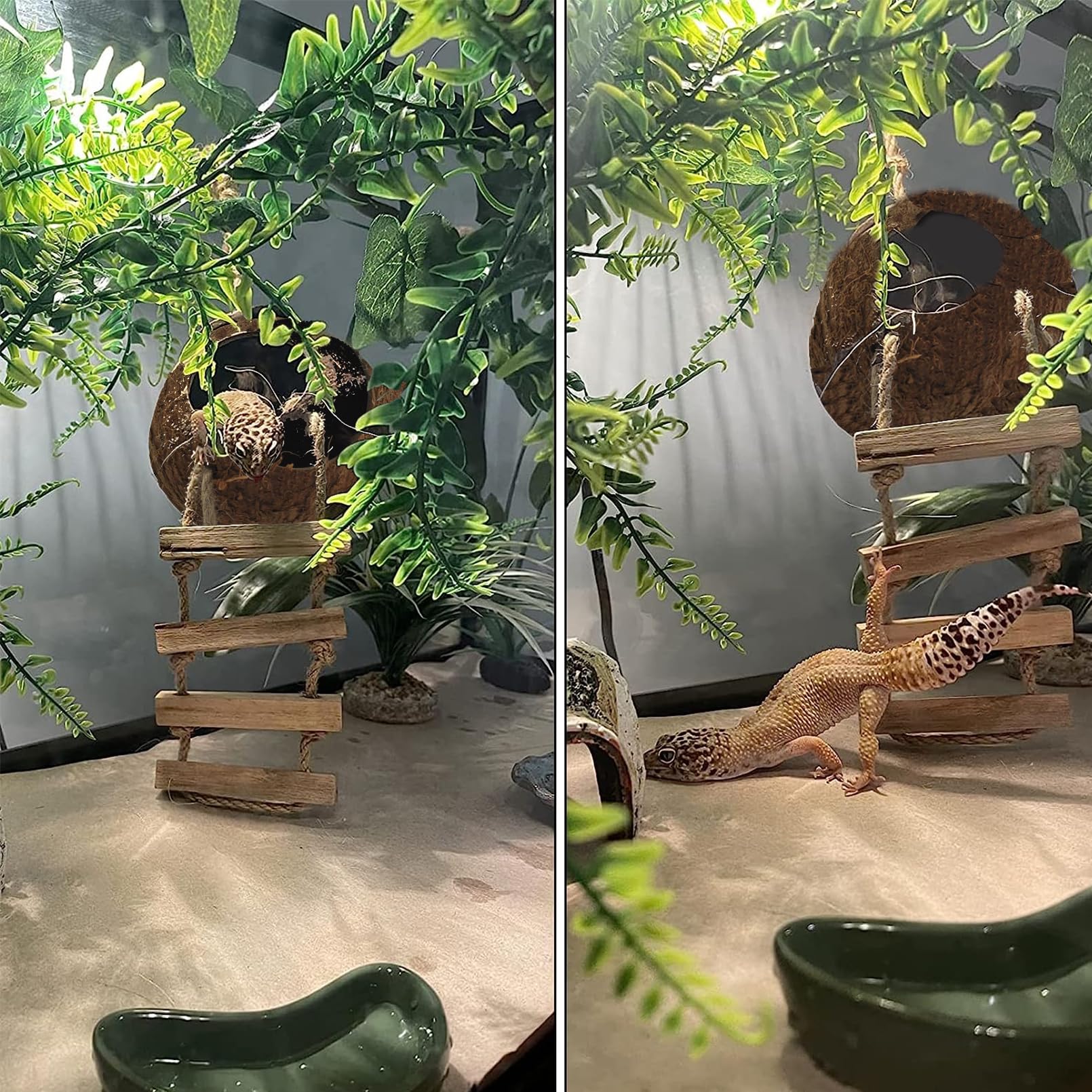 MUYG hamac pour gecko gros plan tissu respirant et stabilité