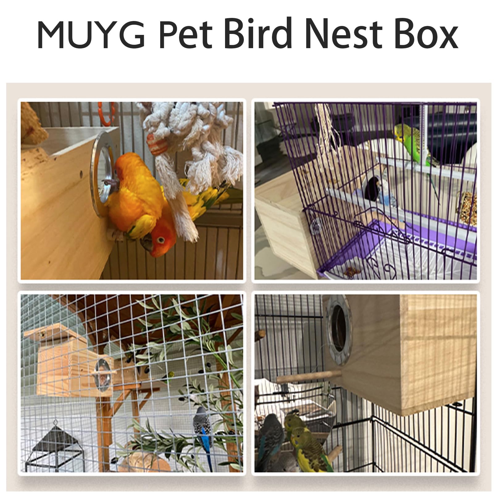 MUYG détail acrylique transparent permettant observation sans déranger