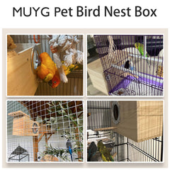 MUYG détail acrylique transparent permettant observation sans déranger