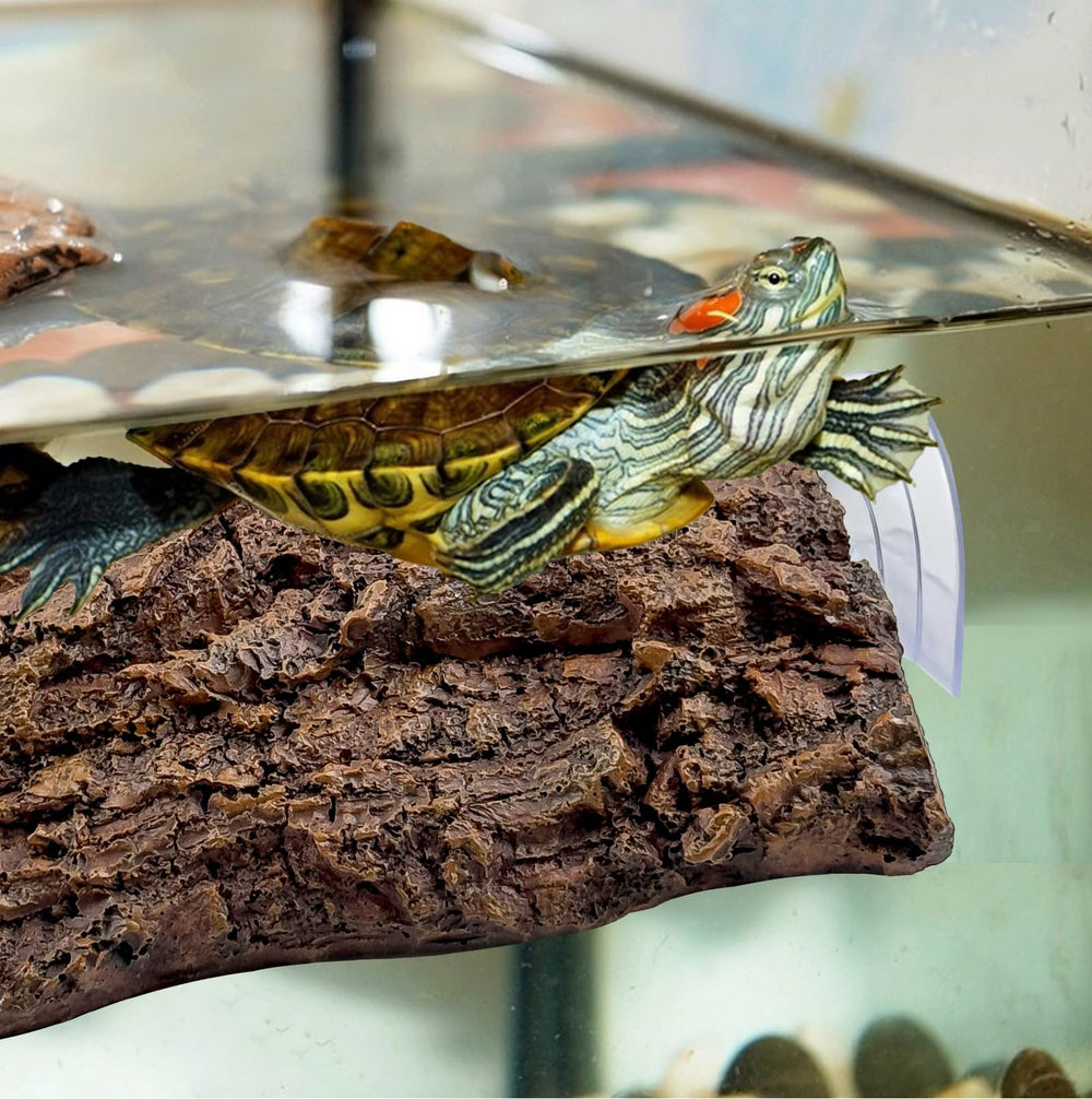MUYG plateforme installée dans aquarium créant zone de repos