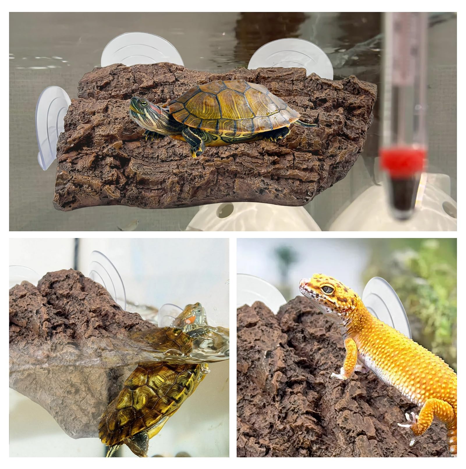 MUYG plateau dans terrarium décor naturel et esthétique apaisante