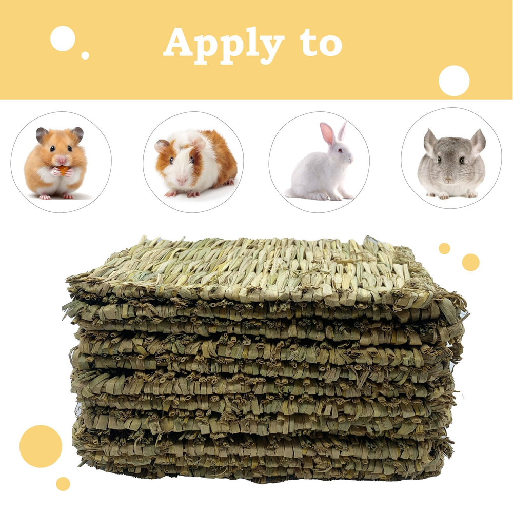 MUYG tapis en décor maison montrant confort et esthétique discret