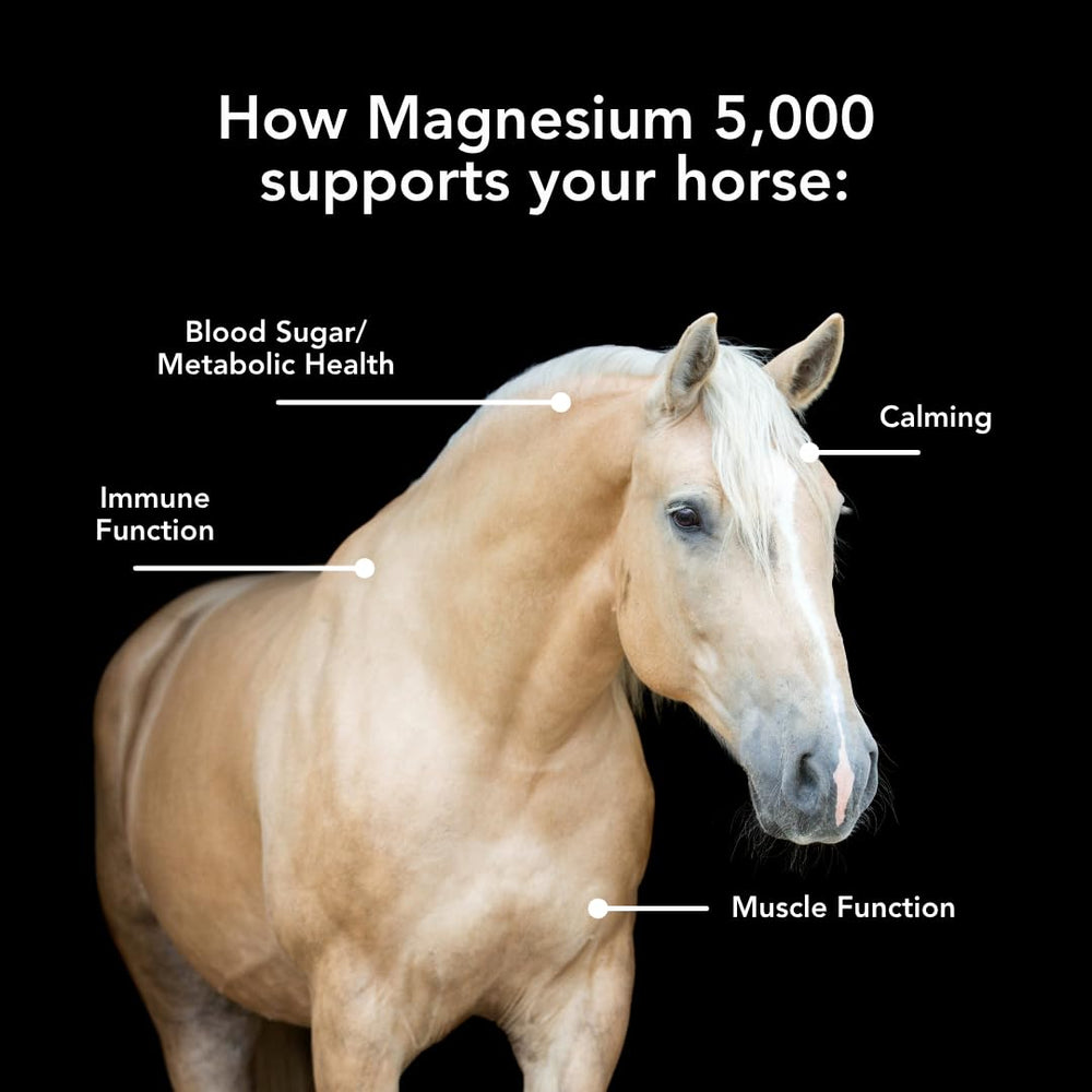 MVP Magnésium 5000 gros plan sur granulés montrant texture homogène