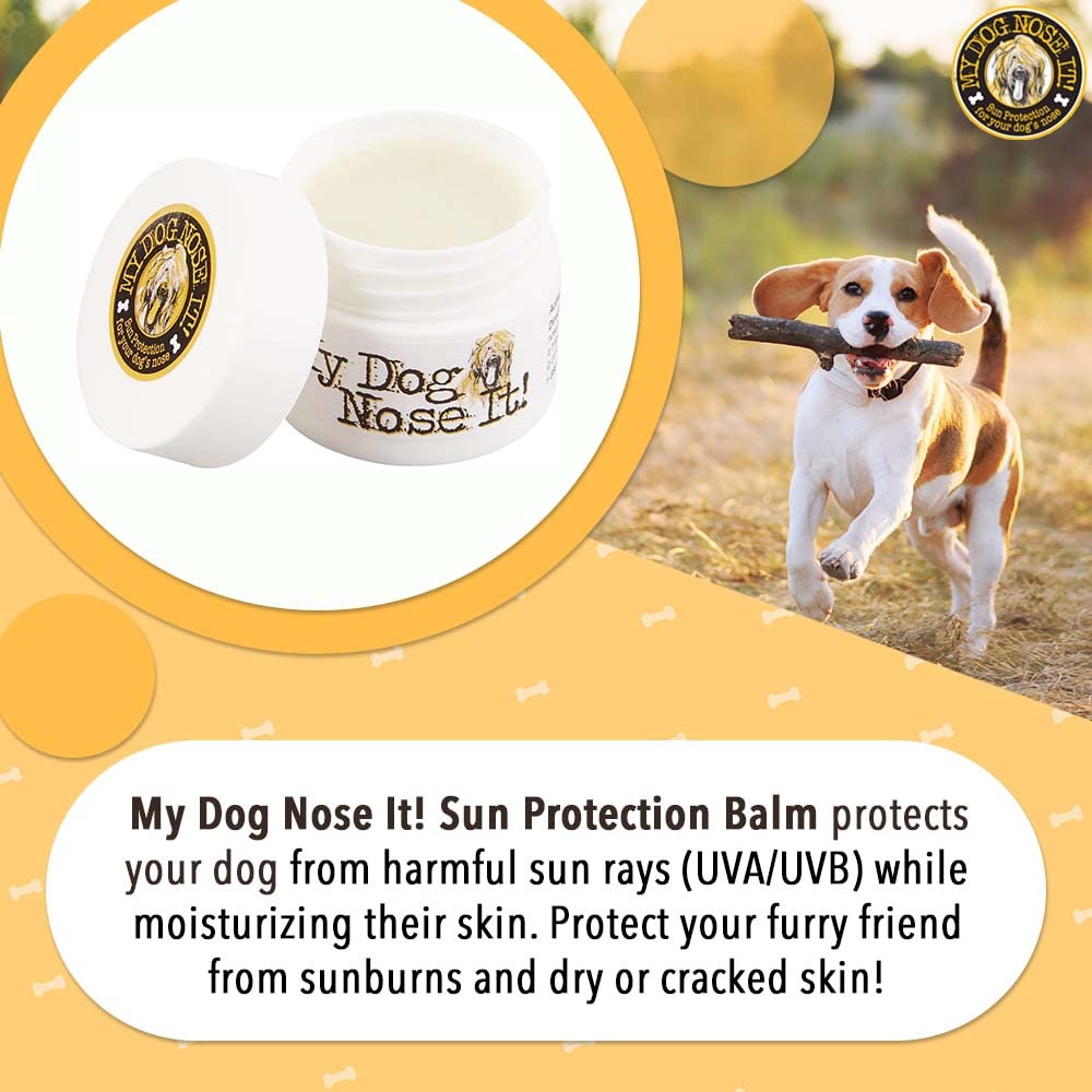 My Dog Nose It texture crémeuse en gros plan pour absorption rapide