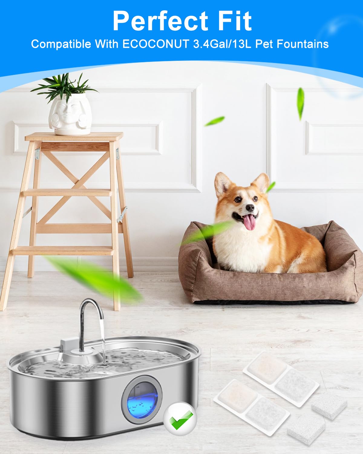 MyfatBOSS gros plan du charbon activé montrant neutralisation des odeurs