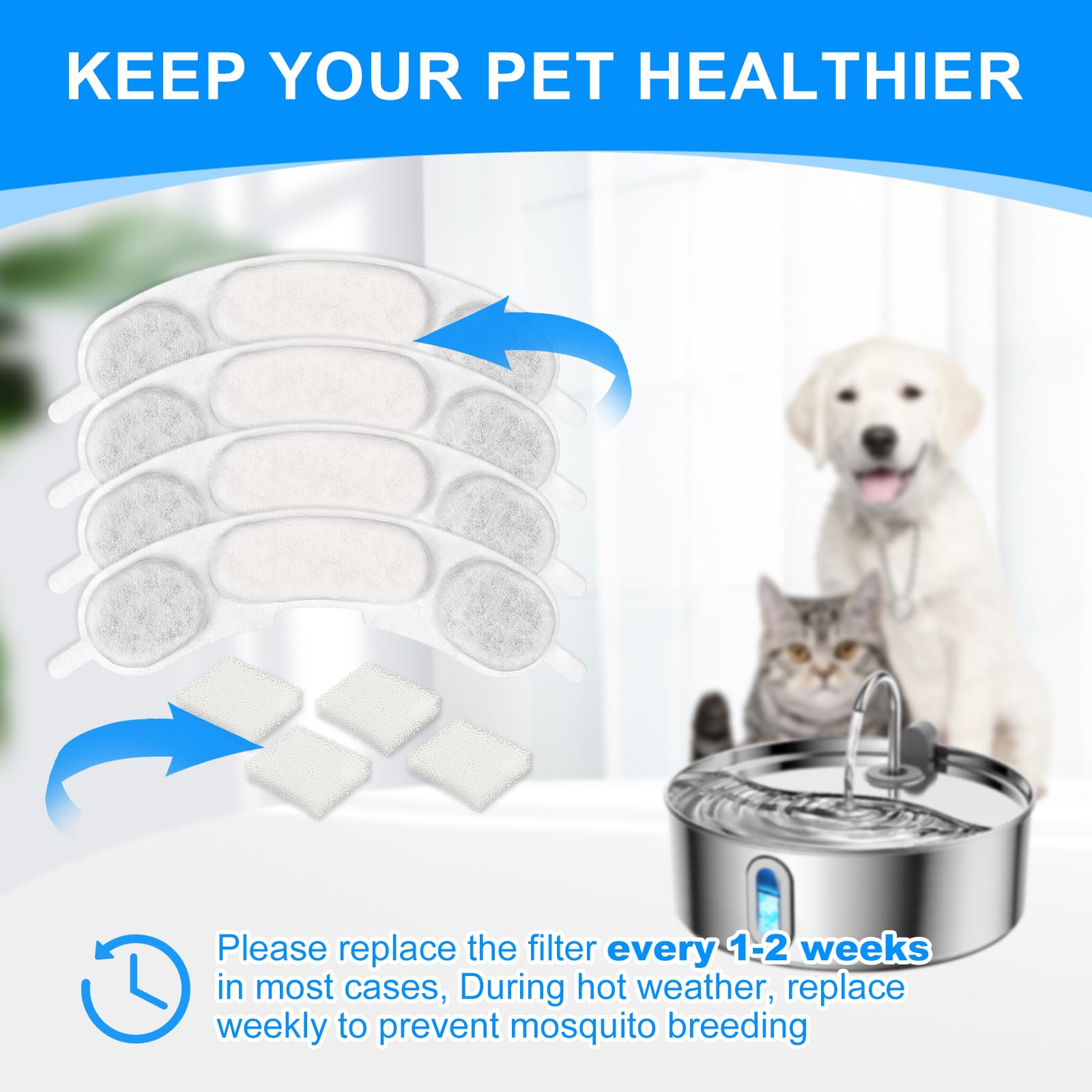 MyfatBOSS mise en situation cuisine montrant fontaine propre et hygiène animale