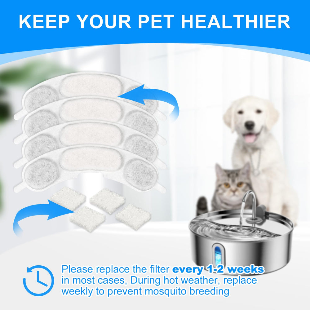 MyfatBOSS mise en situation cuisine montrant fontaine propre et hygiène animale