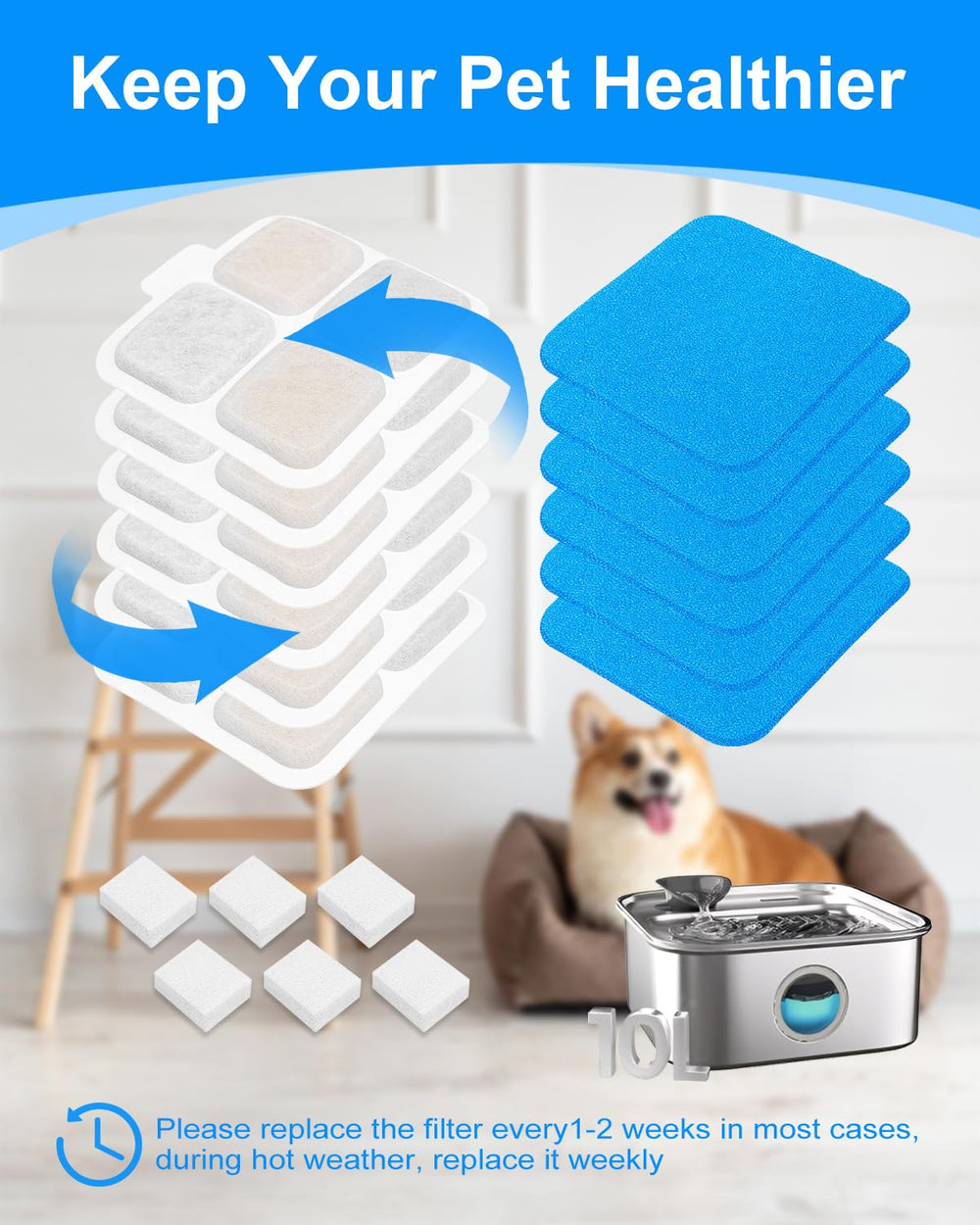 MyfatBOSS kit posé dans une cuisine près d'une fontaine montrant usage domestique