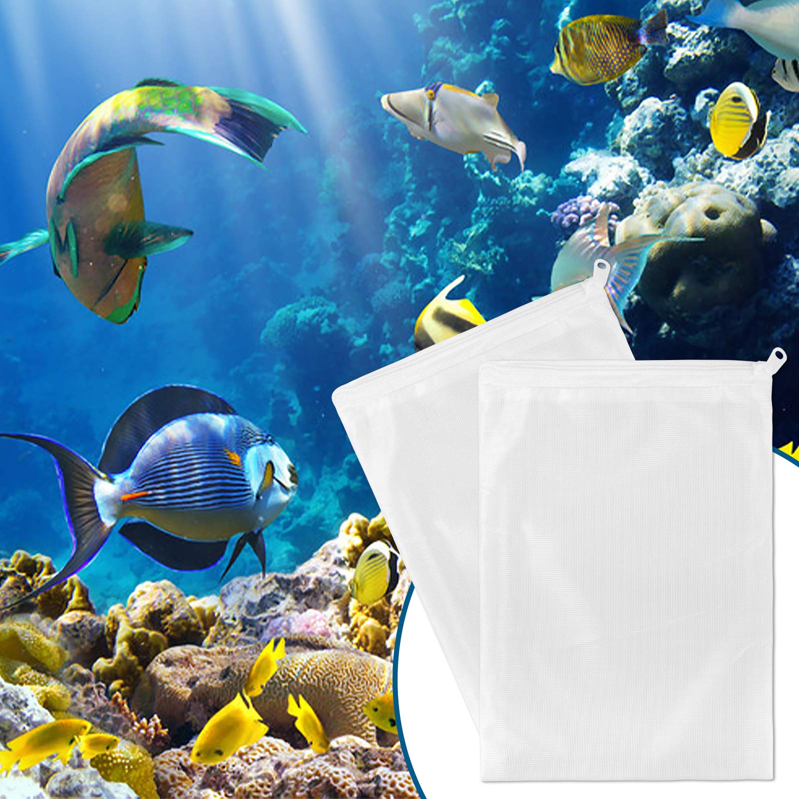 MyfatBOSS sachets disposés dans aquarium illustrant intégration décor