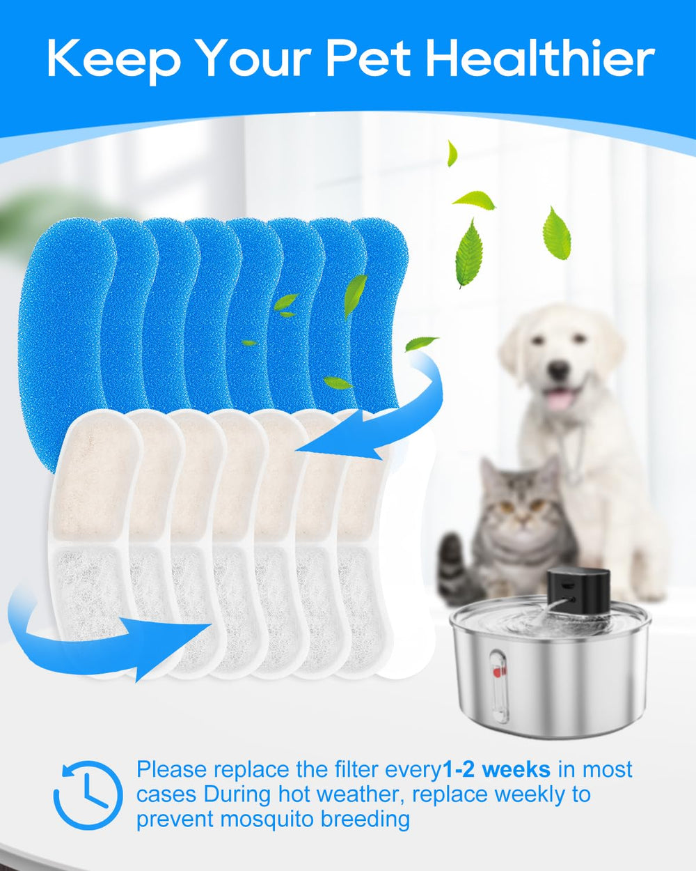 MyfatBOSS scène de vie : chat buvant à la fontaine équipée d'un filtre propre, encourage l'hydratation