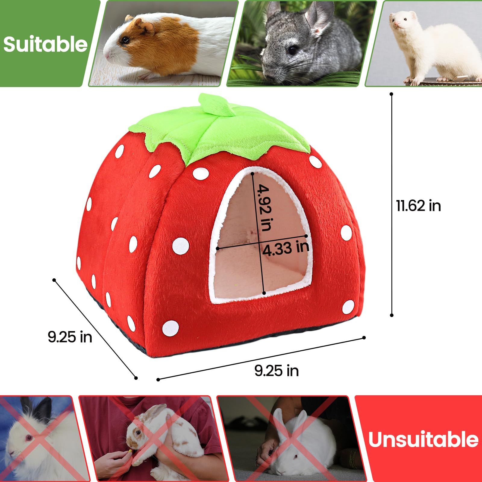 Mygeromon nid en usage avec cochon d'inde offrant abri rassurant