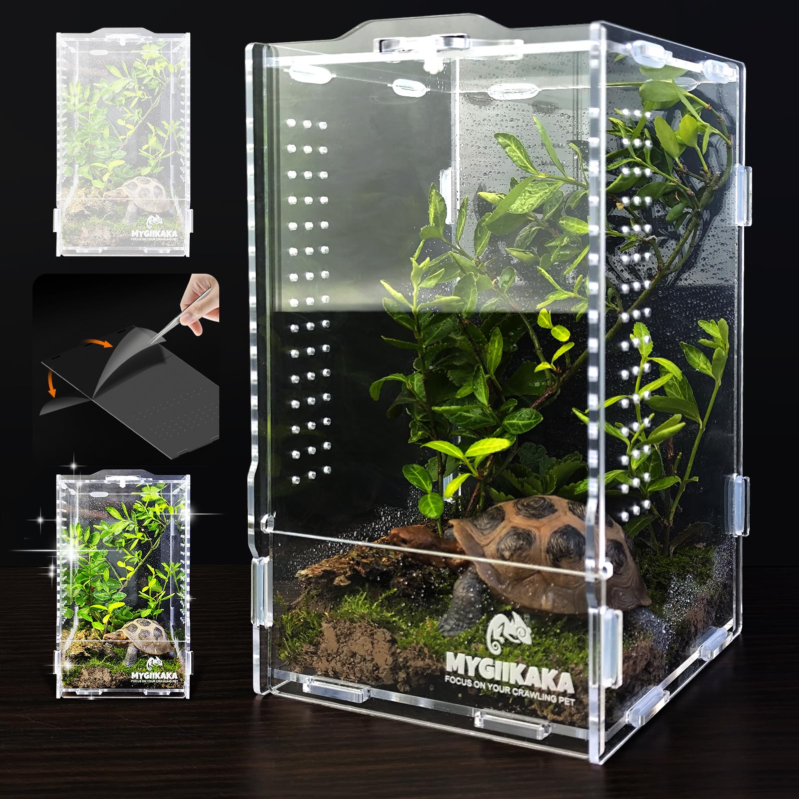 MYGIIKAKA terrarium face avant montrant visibilité totale bénéfice observation