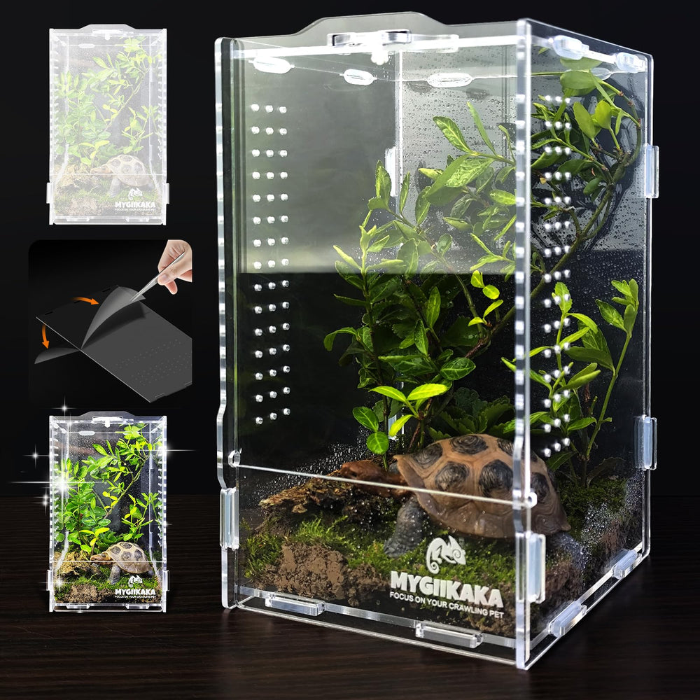MYGIIKAKA terrarium face avant montrant visibilité totale bénéfice observation
