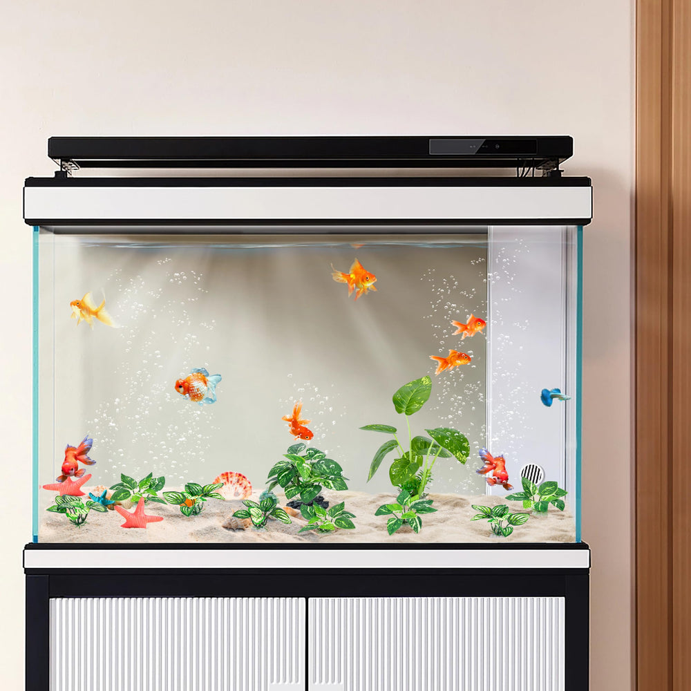 MyLifeUNIT plantes installées dans un aquarium avec betta créant cachettes apaisantes