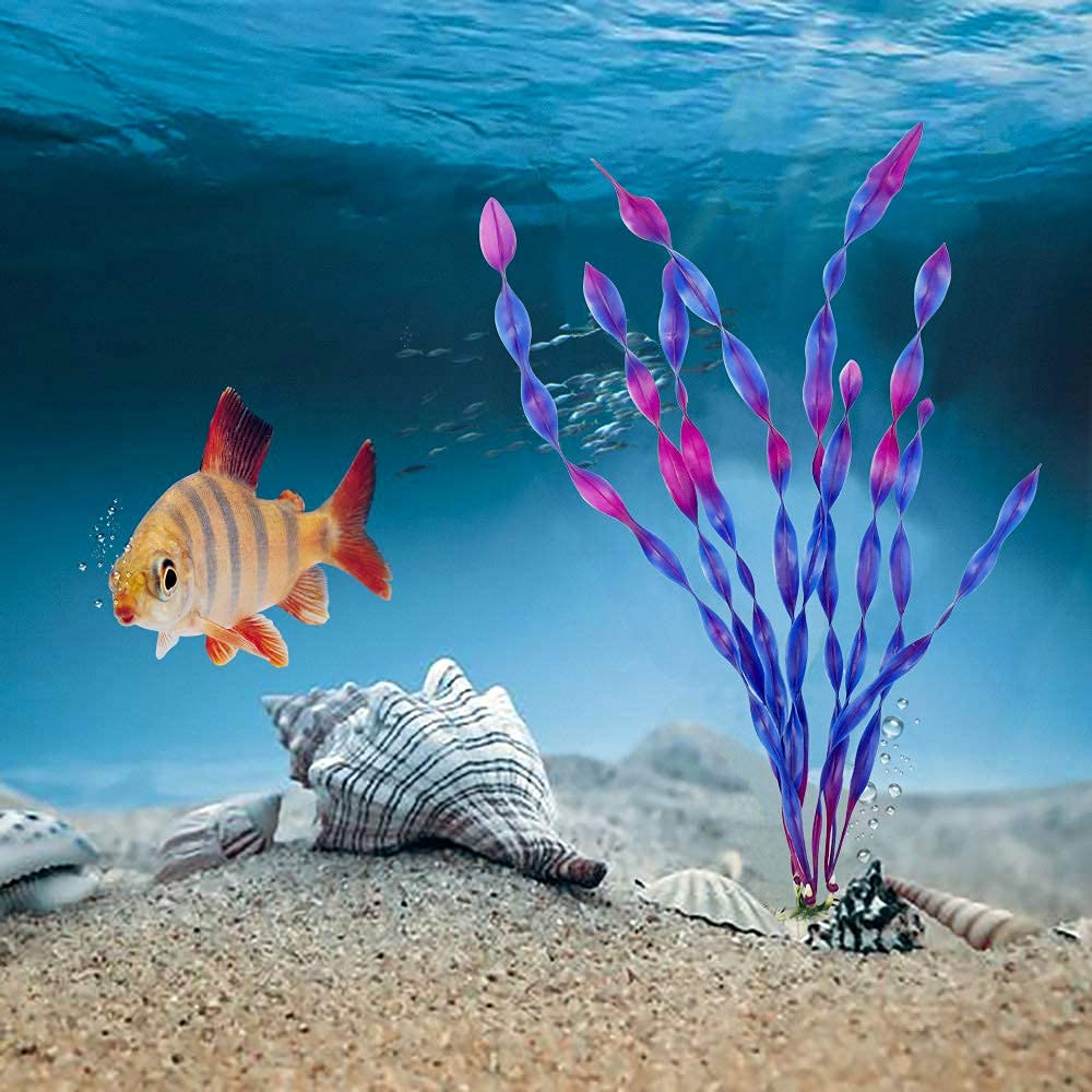 MyLifeUNIT décor aquarium lifestyle, atmosphère colorée et naturelle