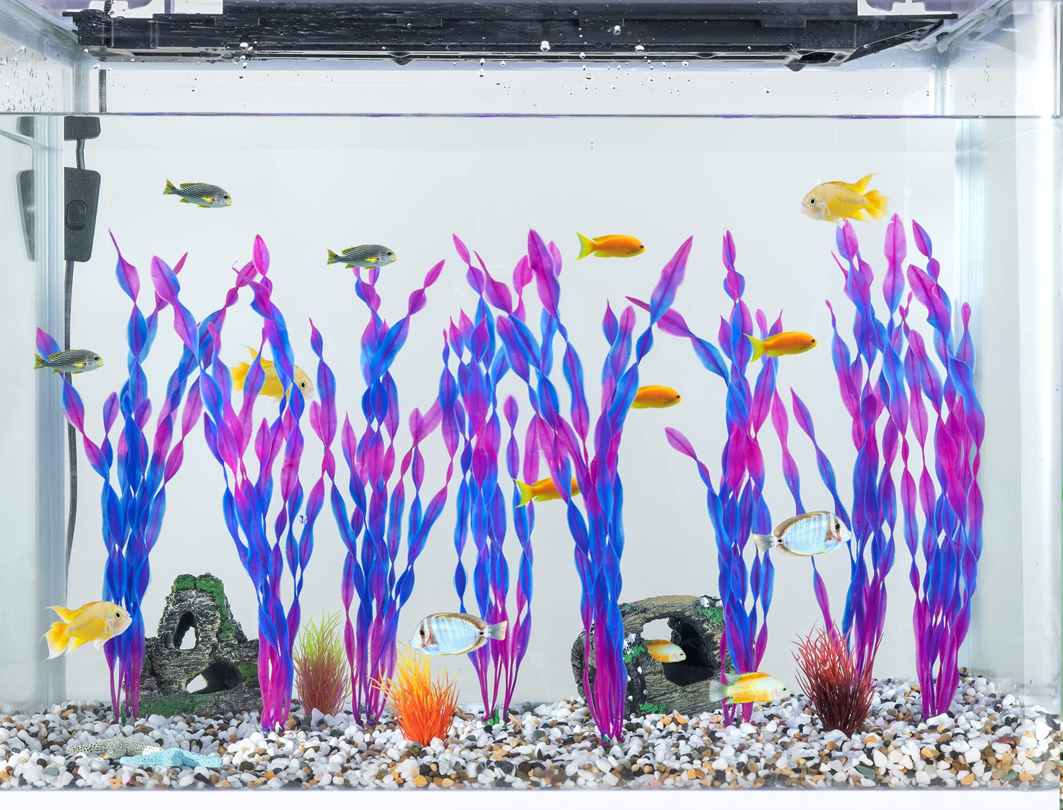 MyLifeUNIT comparaison taille avec main, dimension adaptée petits aquariums