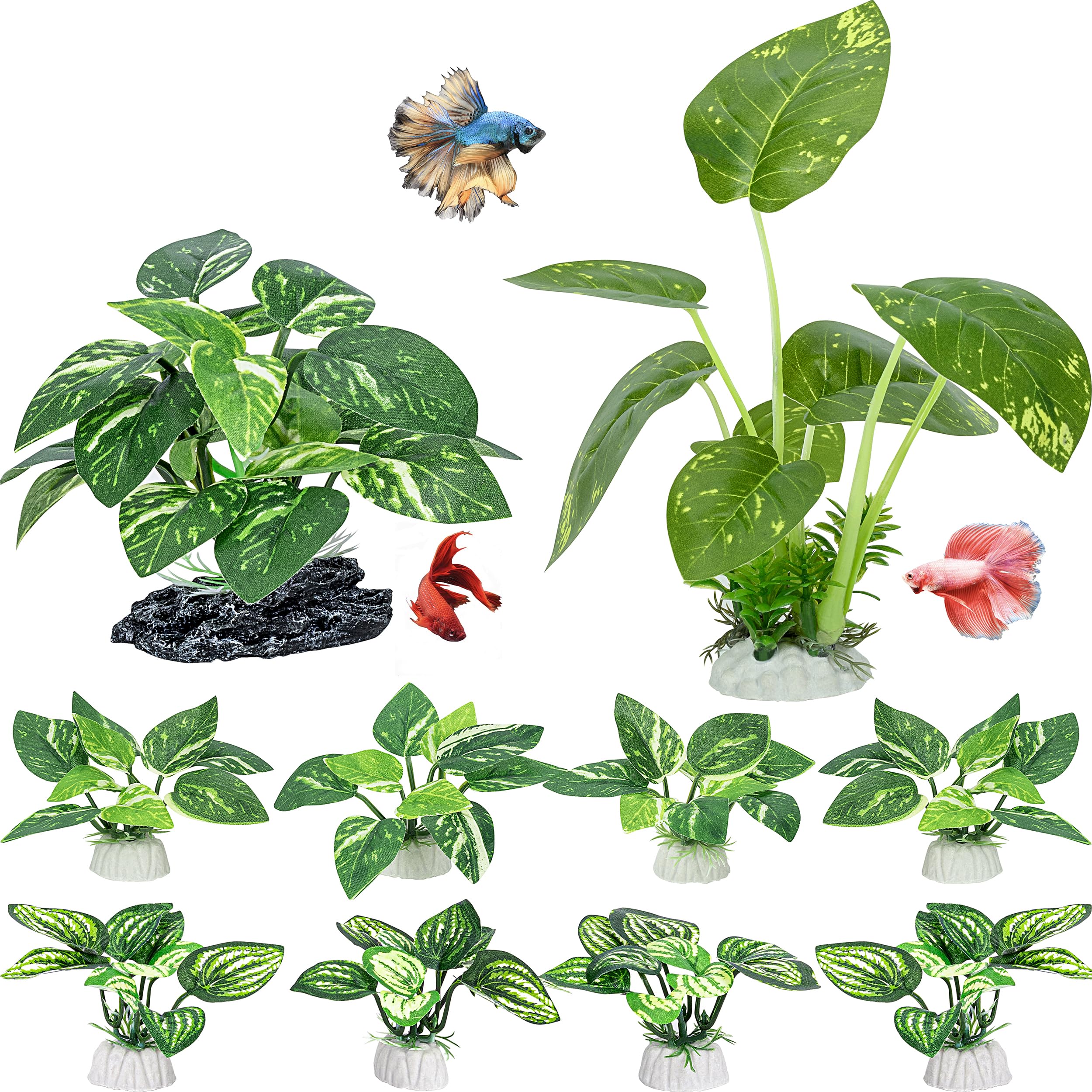 MyLifeUNIT ensemble 10 plantes vues frontales offrant décor naturel et sécurité