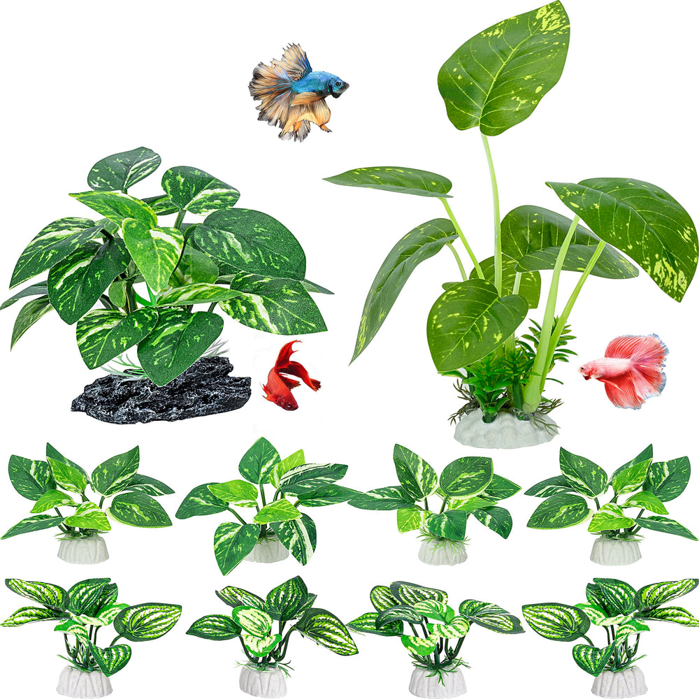 MyLifeUNIT ensemble 10 plantes vues frontales offrant décor naturel et sécurité