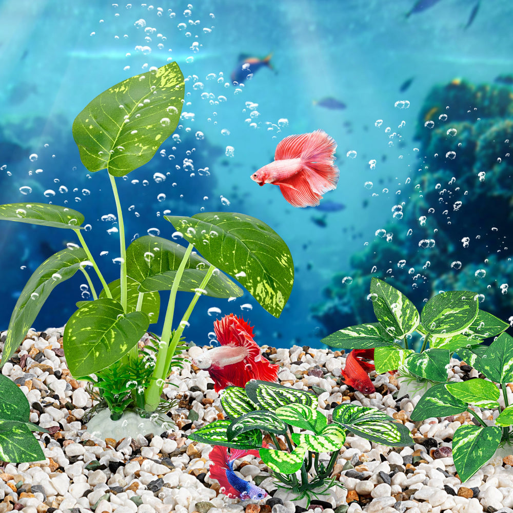 MyLifeUNIT décor d'aquarium dans un salon montrant rendu réaliste et esthétique