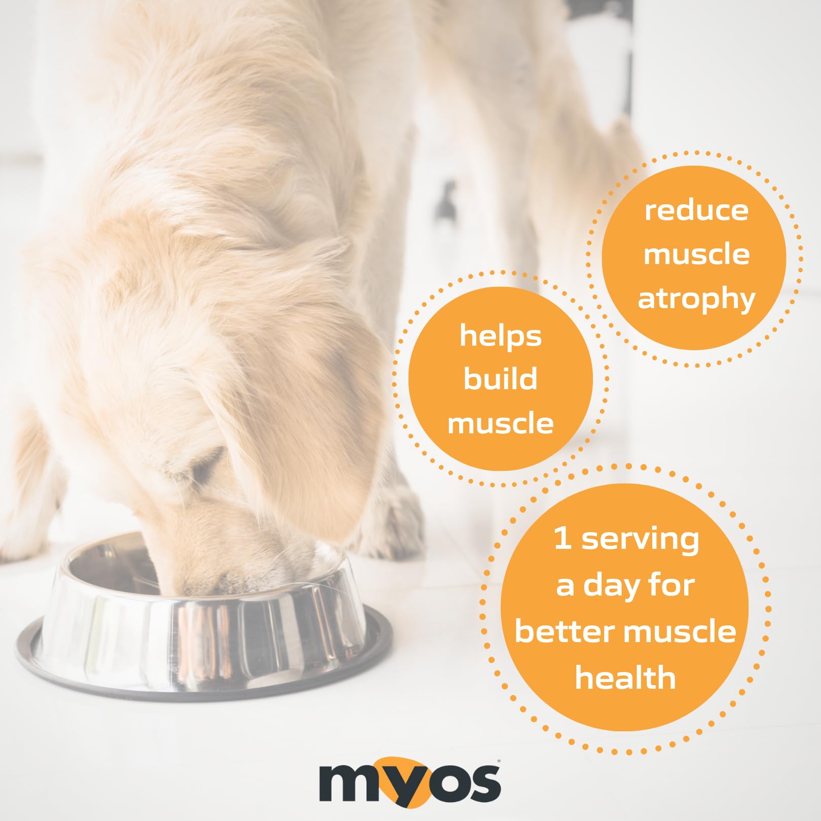 MYOS CANINE MUSCLE FORMULA étiquette indiquant ingrédients brevetés et qualité