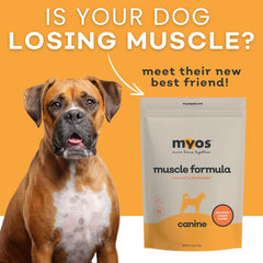 MYOS CANINE MUSCLE FORMULA cuillère doseuse illustrant dosage facile