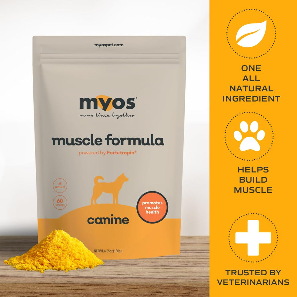 MYOS CANINE MUSCLE FORMULA gros plan de la poudre, texture appétente pour chien