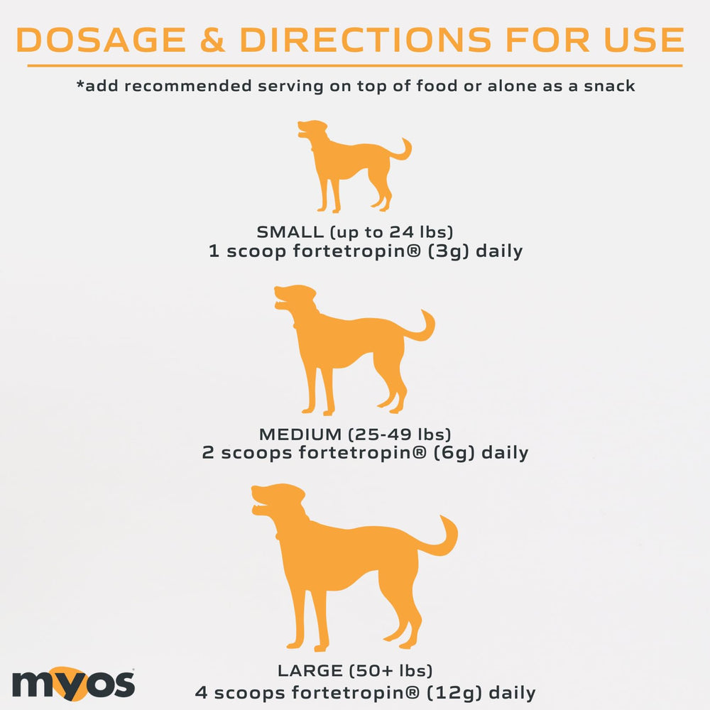 MYOS CANINE MUSCLE FORMULA en clinique vétérinaire soutenant rééducation musculaire